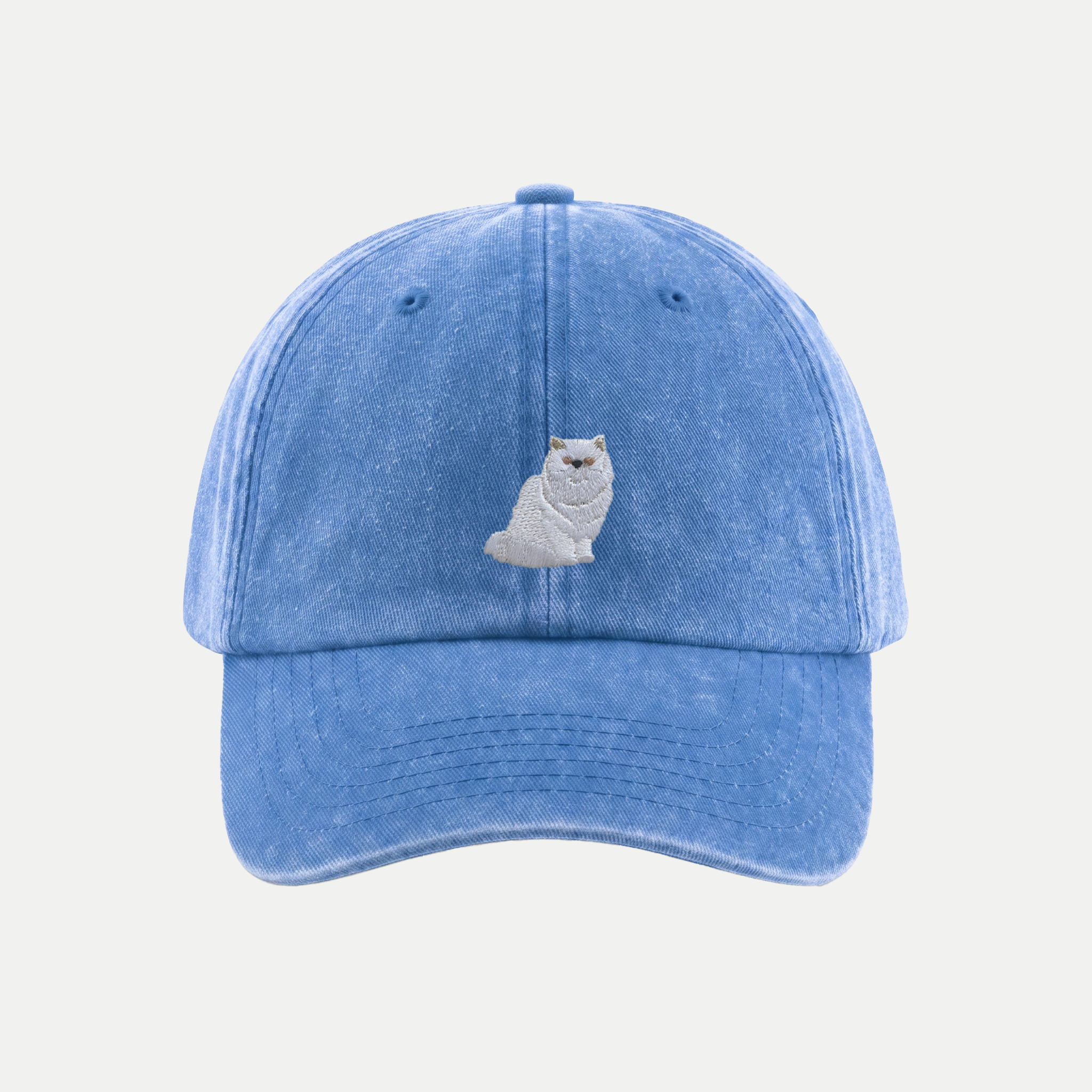 #couleur_Bleu