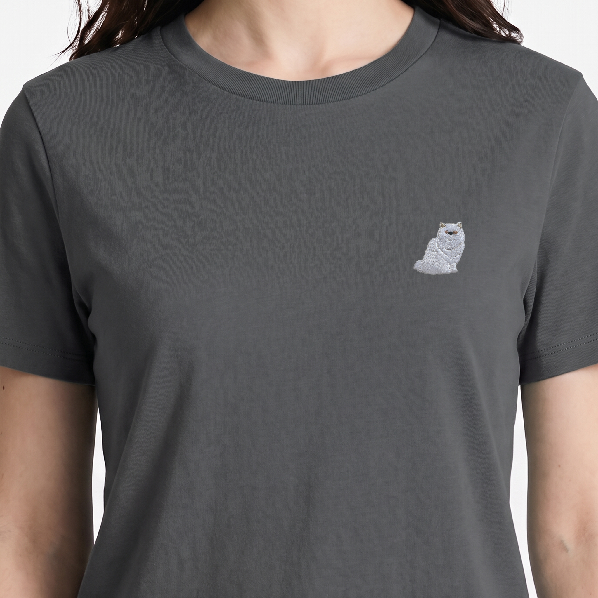 #couleur_Gris anthracite