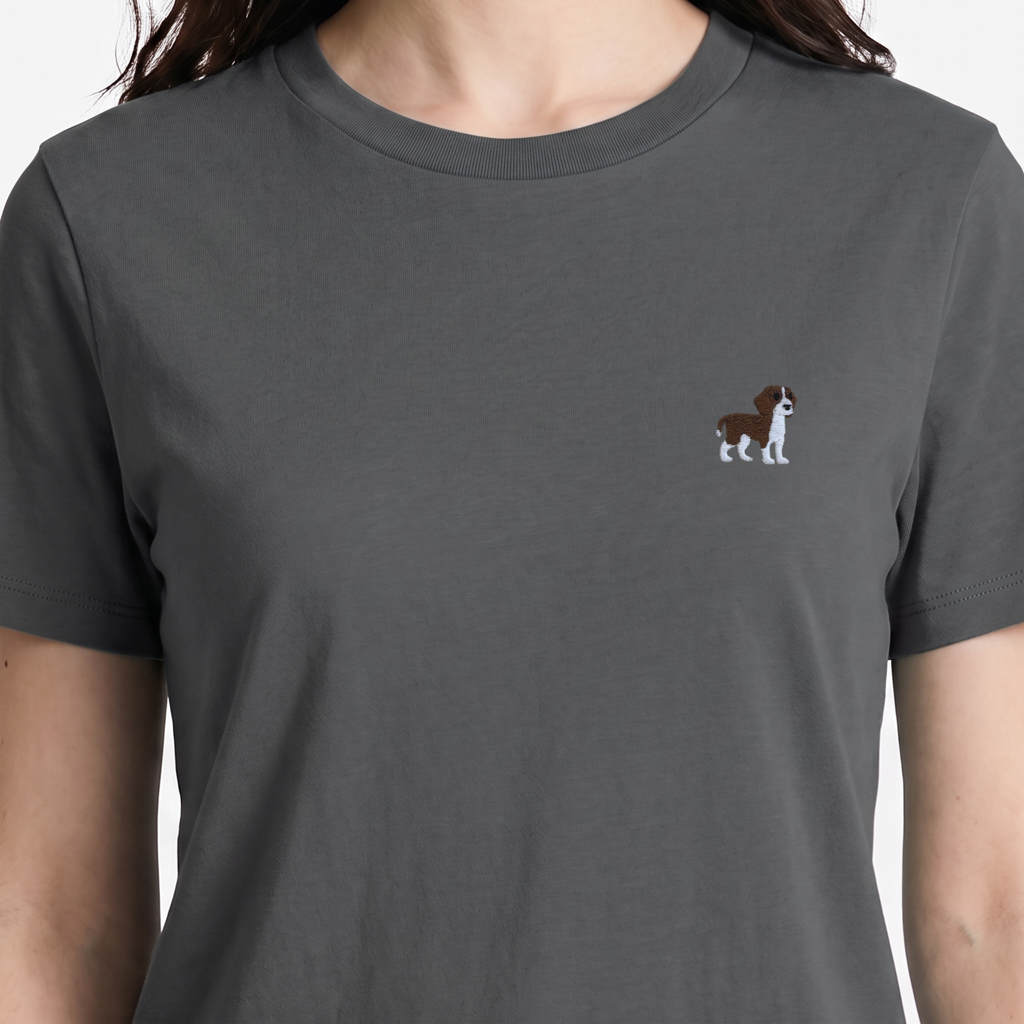 #couleur_Gris anthracite